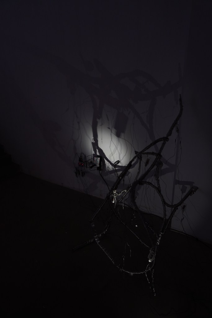 Image Credit: Chok Si Xuan