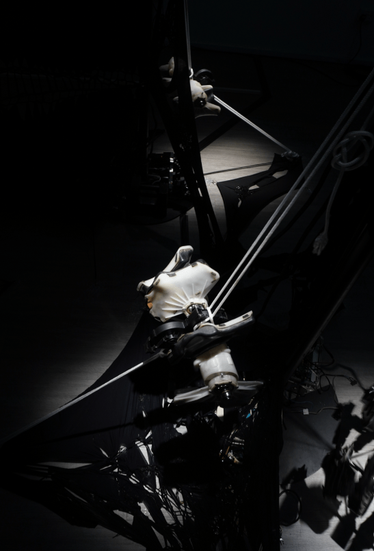 Image Credit: Chok Si Xuan