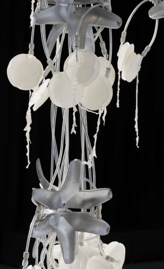 Image Credit: Chok Si Xuan