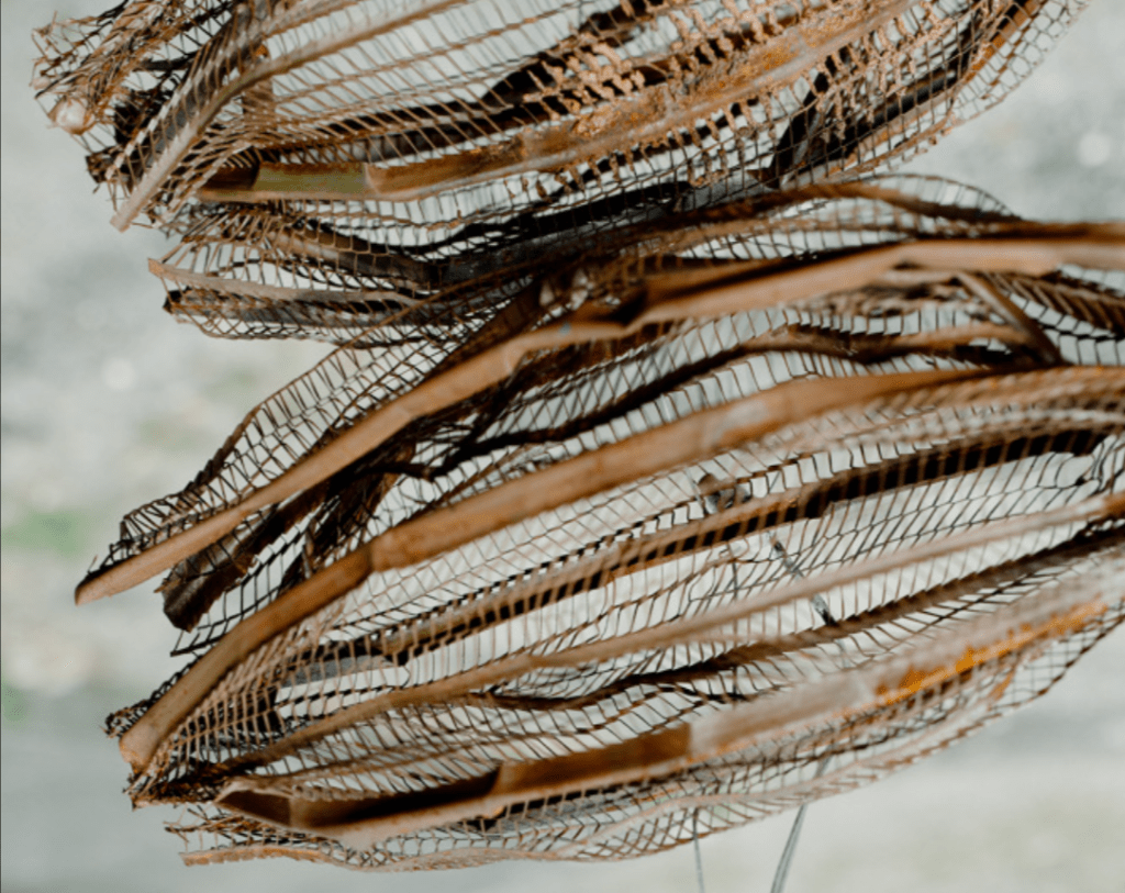 Image Credit: Chok Si Xuan