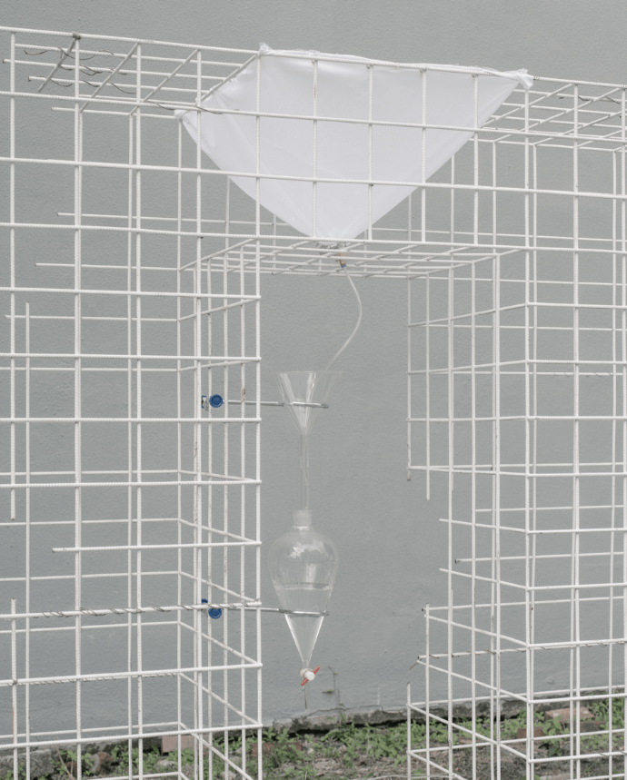 Image Credit: Chok Si Xuan